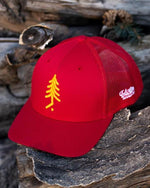 Pinetree Mesh Snapback - Low Profile