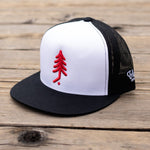 Pinetree 5-Panel Mesh Snapback